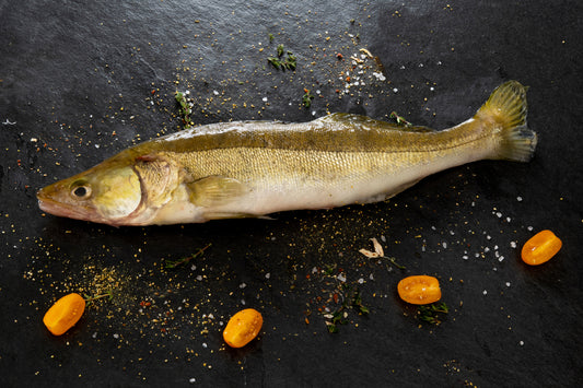 Zander, frisch, filetiert mit Haut, geschuppt, 1000gr.