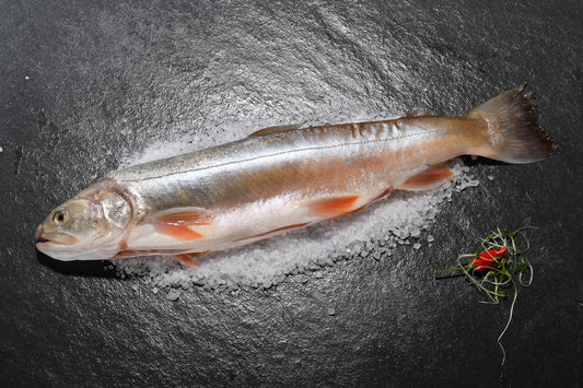 Saibling, frisch, filetiert 200-350 gr.